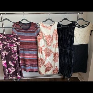 5 Ann Taylor dresses for $25!